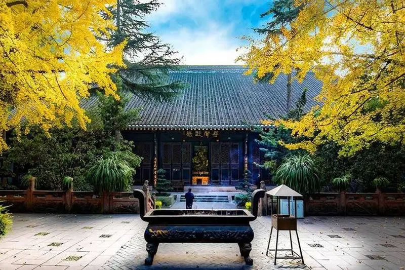 真人实证：练习洗髓功三年，我的身心蜕变历程